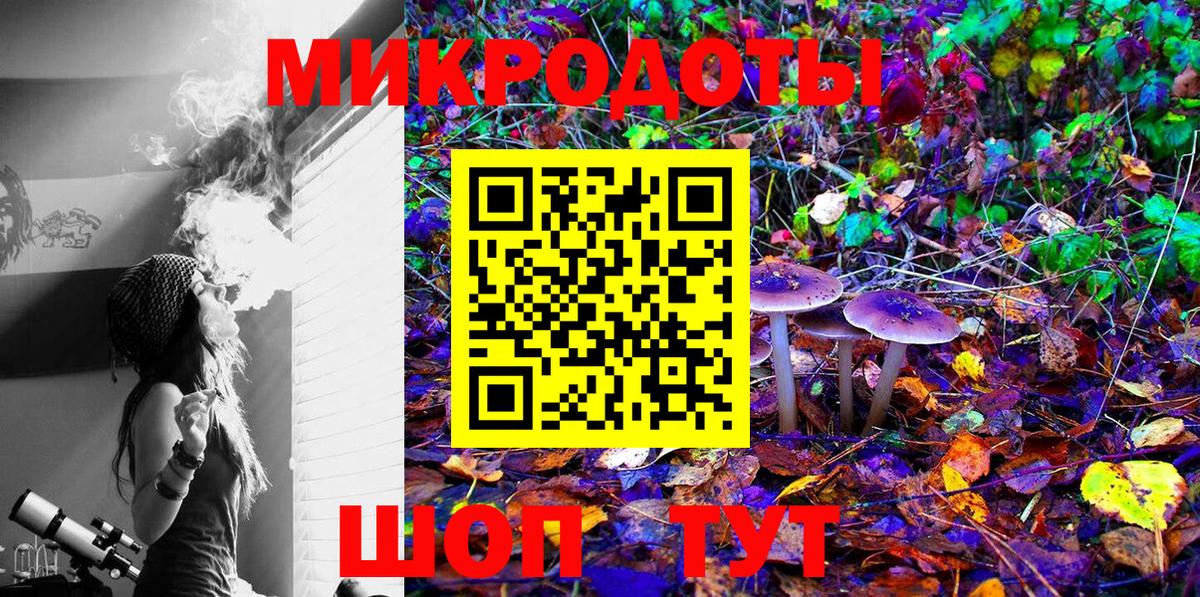 Галлюциногенные грибы мухоморы Кингисепп
