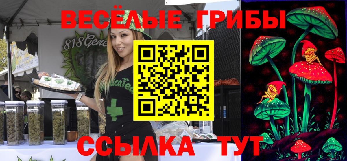 Псилоцибиновые грибы прущие грибы  хочу   Кингисепп  Вход с VPN  Псилоцибиновые грибы Magic Shrooms 